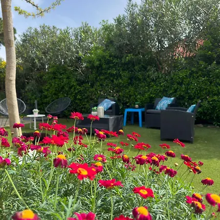 Bon Repos 1